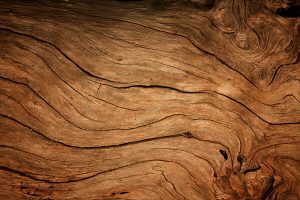 holzmaserung