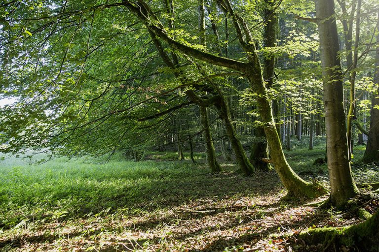 paxnatura österreich 2