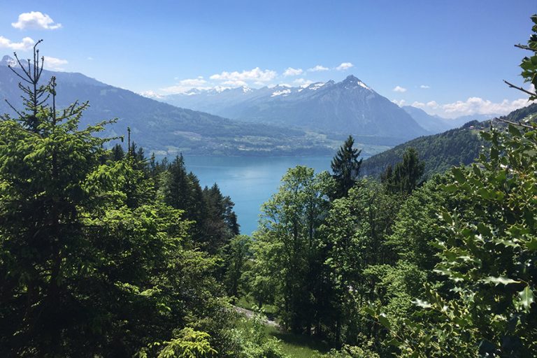 oase der ewigkeit bergblick