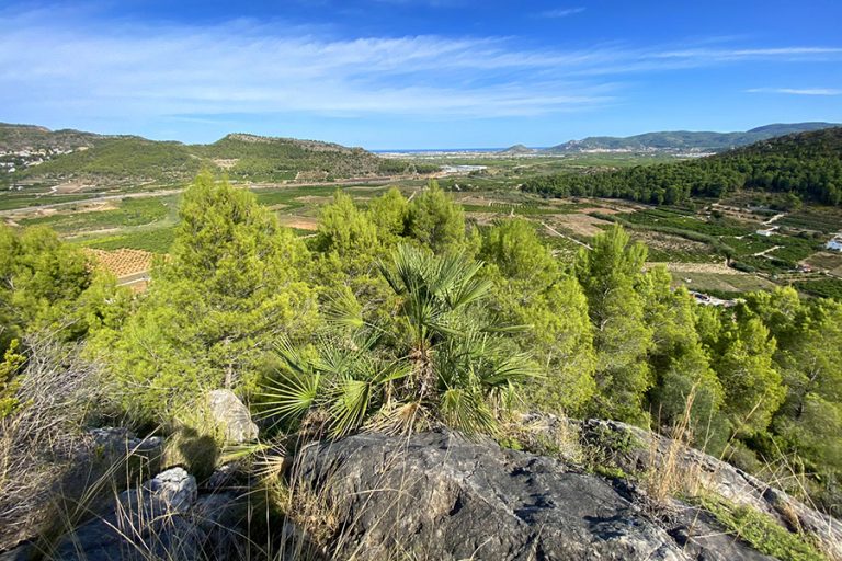 naturfriedhof ad naturam spanien impression