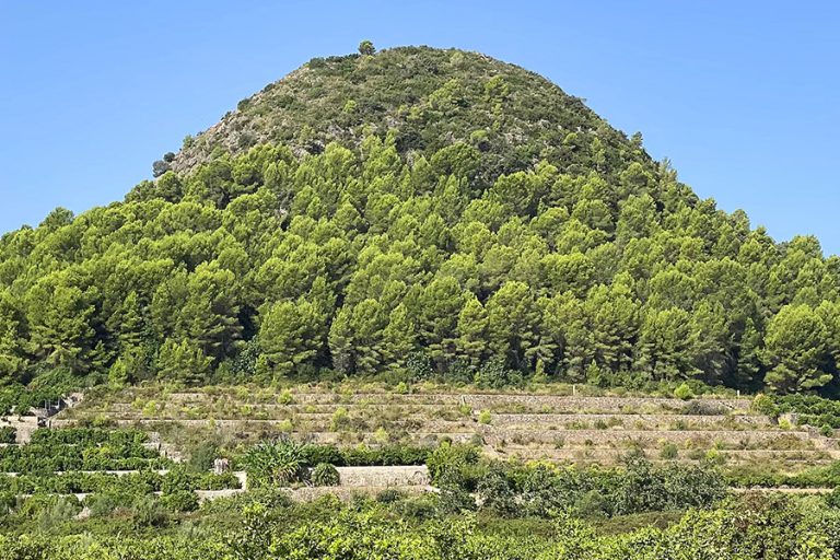 naturfriedhof ad naturam spanien impression