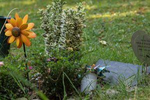 friedhof symbolbild