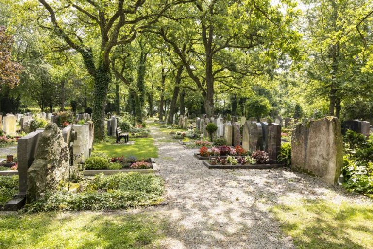 impression friedhof eichenau